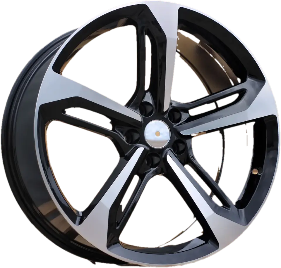 Audi A513 (FR5191)  Black Polished+Powder Coating