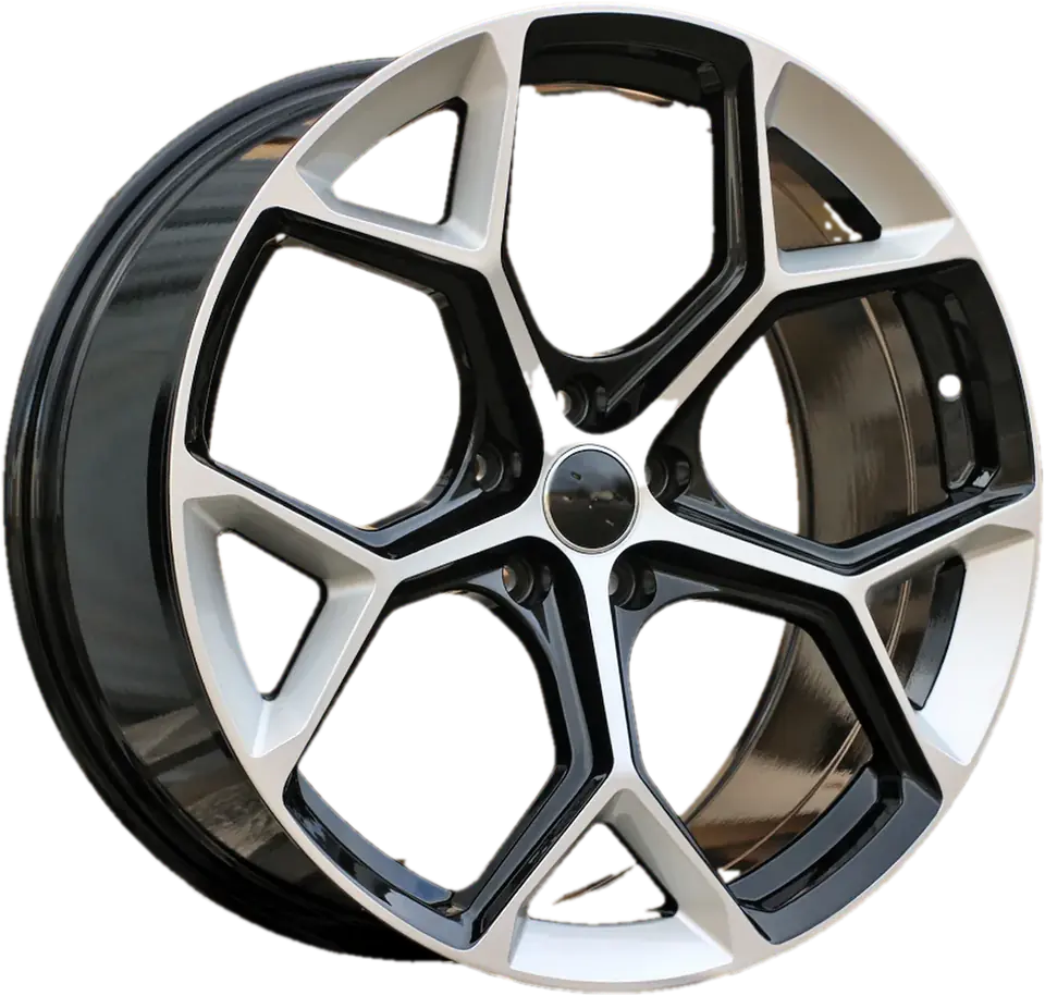 Audi I5598 (FBX112) Silver Shining+Black