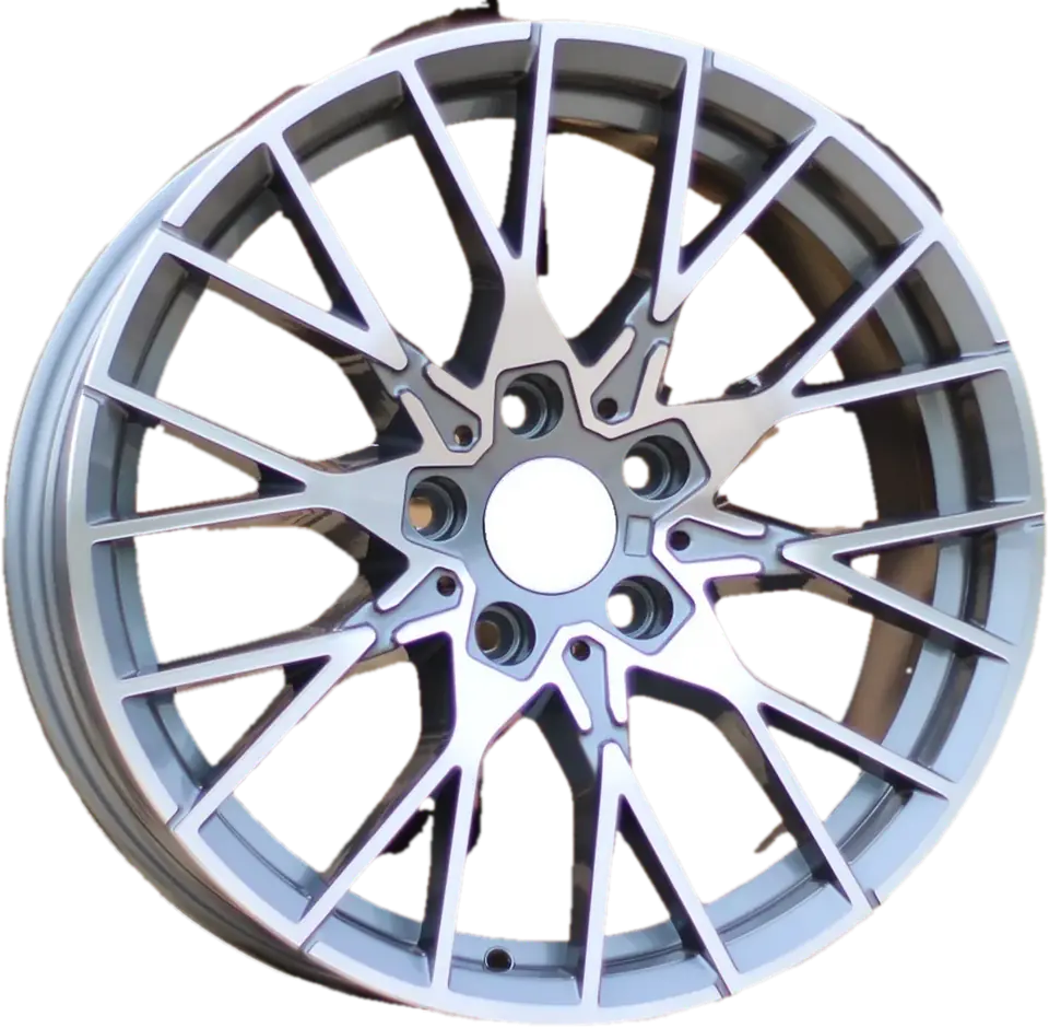 BMW A5479 (BK5441)  Grey Polished+Powder Coating