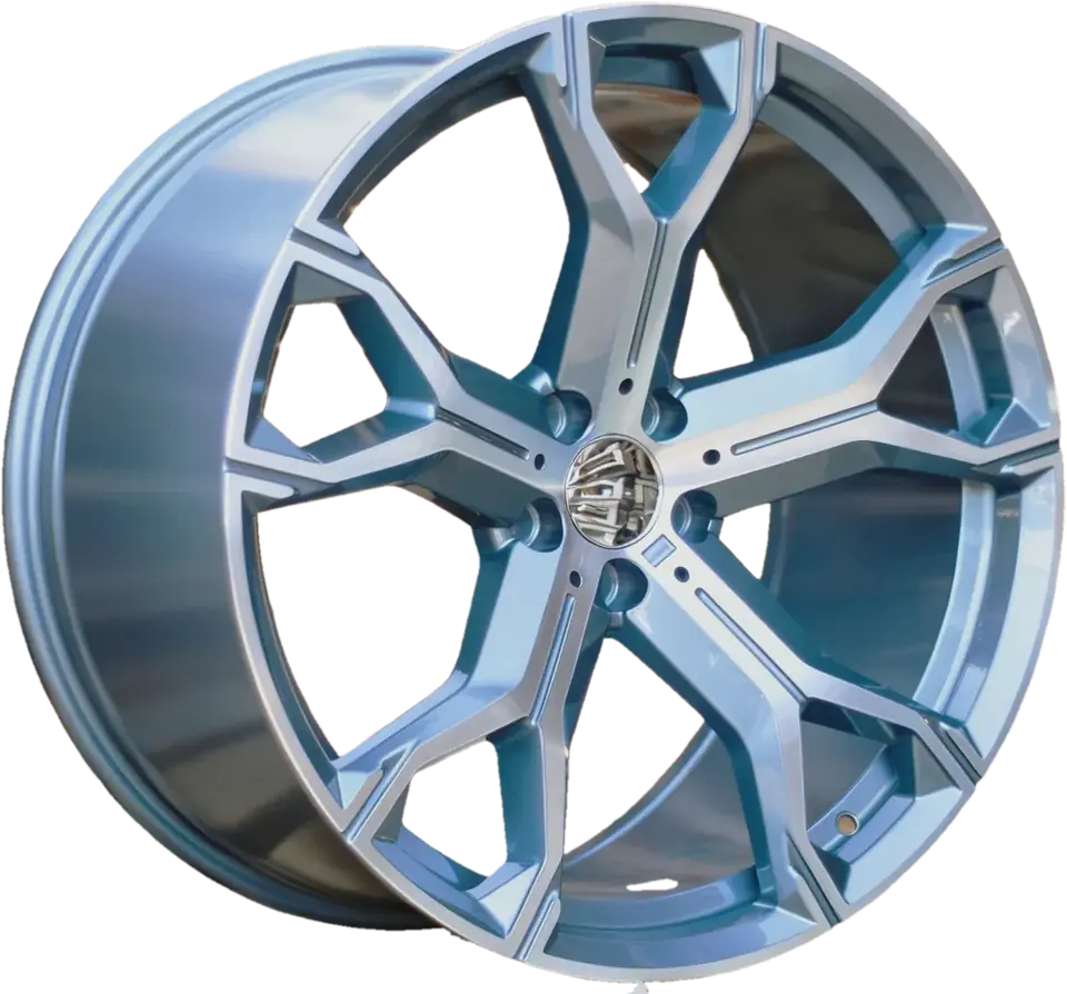 BMW B5498 Grey Polished+Powder Coating