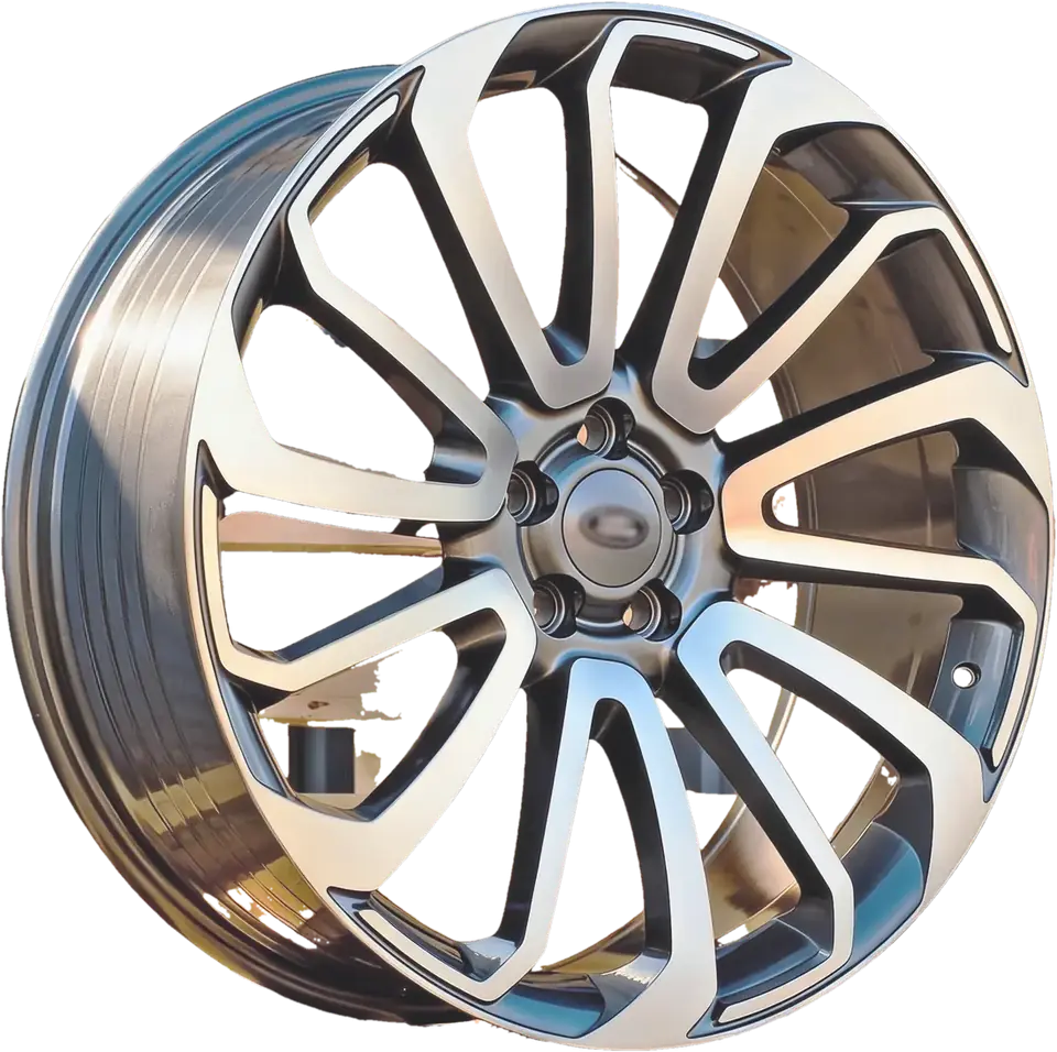 Land Rover BY959 (FBX196)  Grey Polished